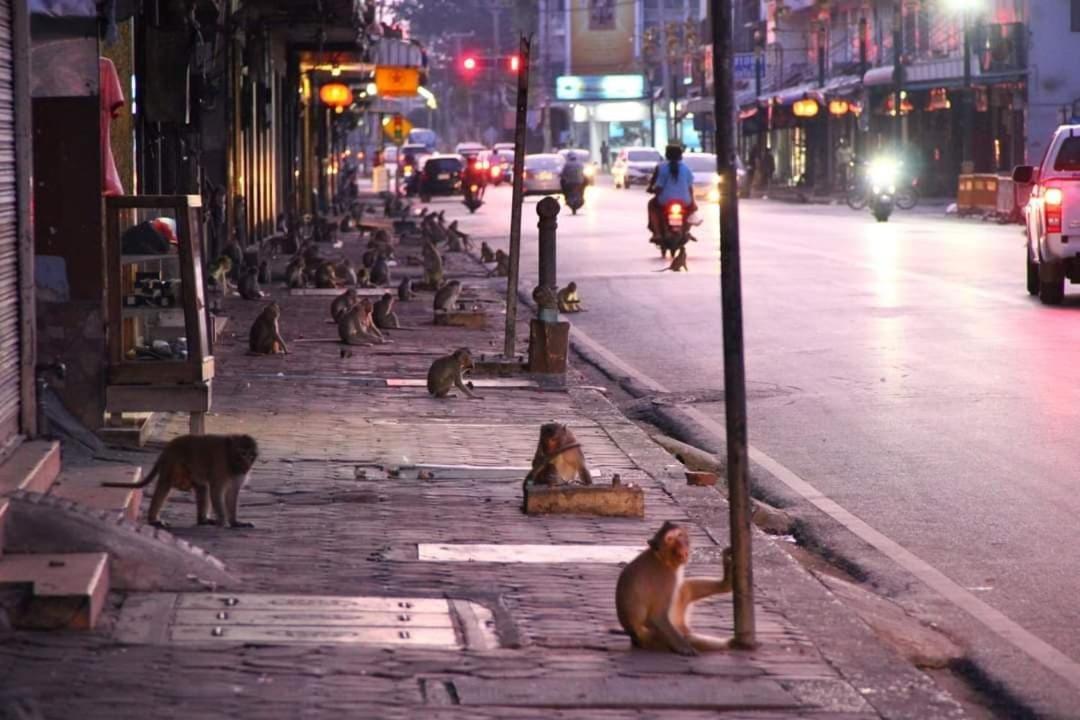 Pee Lopburi Séjour chez l'habitant Ban Tha Krayang